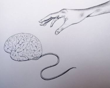 375x300 clickbait for a lab rat drawing - Rat Drawing Images