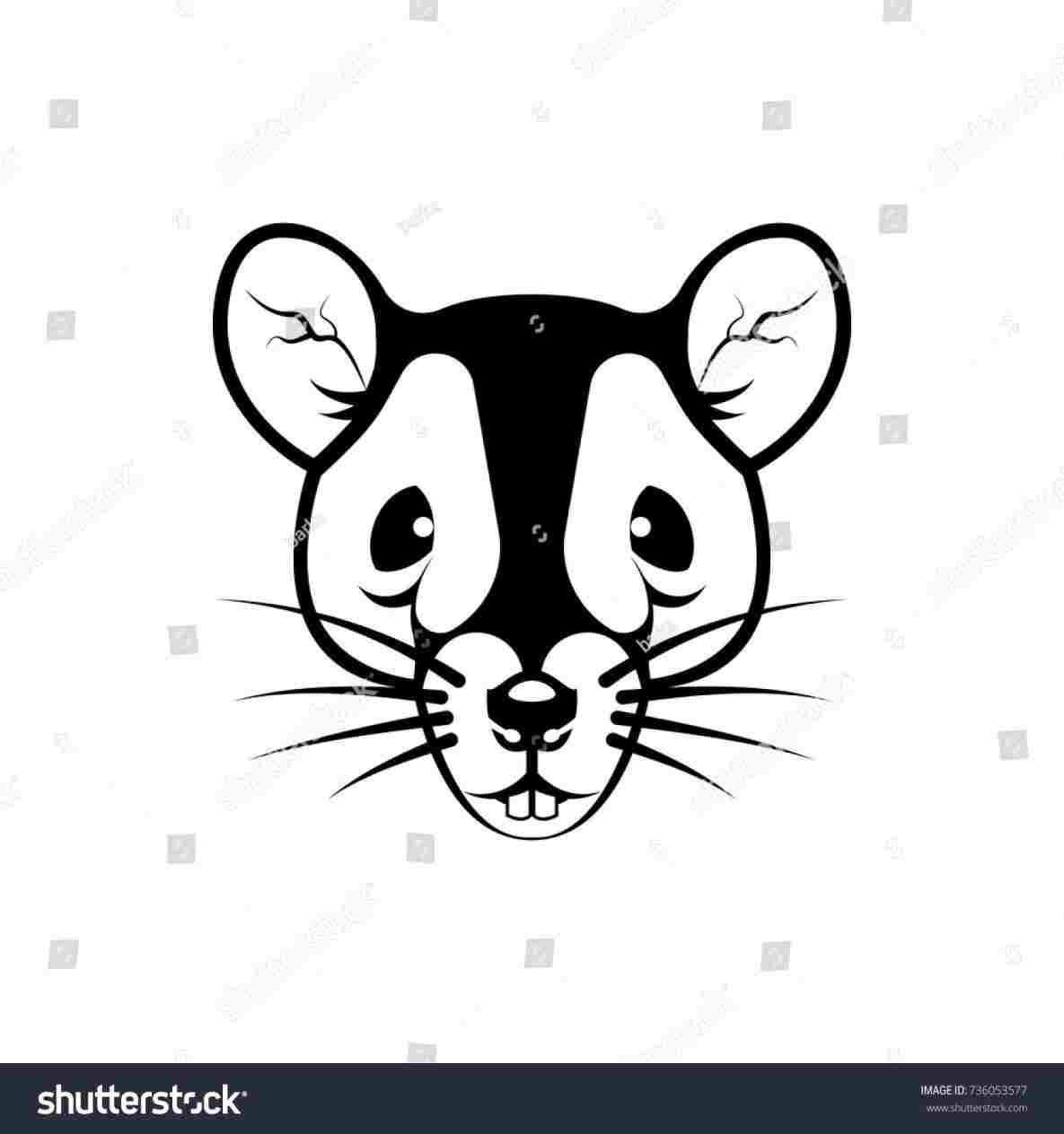 1185x1264 Rat Face Drawing - Rat Face Drawing