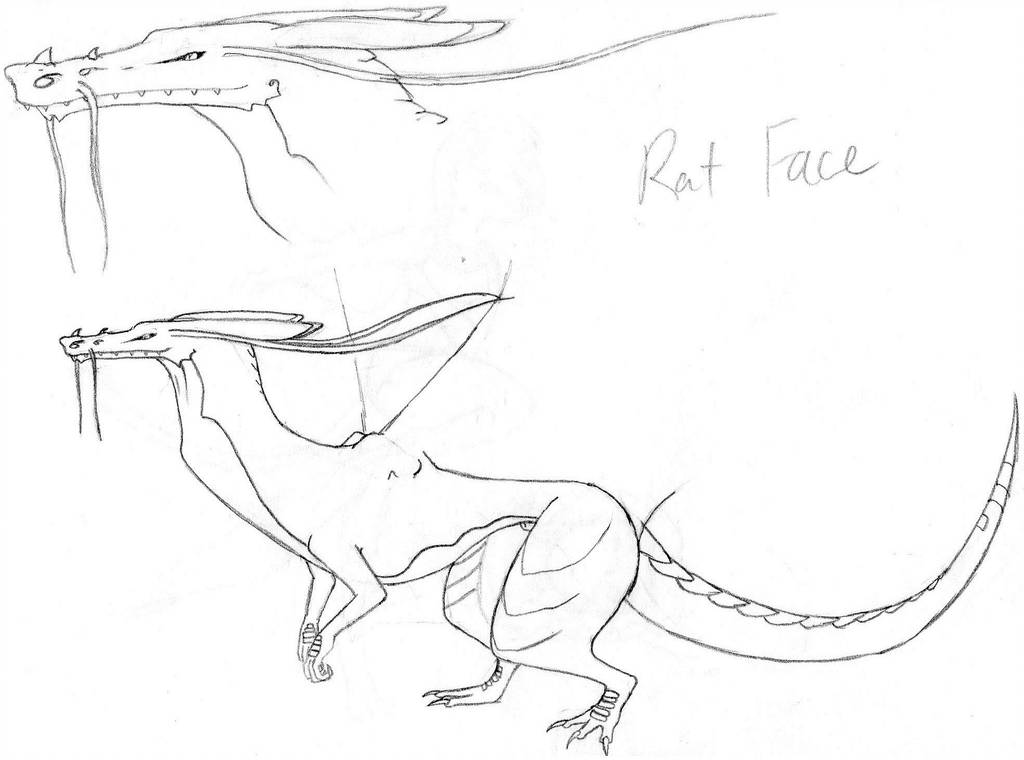 1024x760 Rat Face - Rat Face Drawing