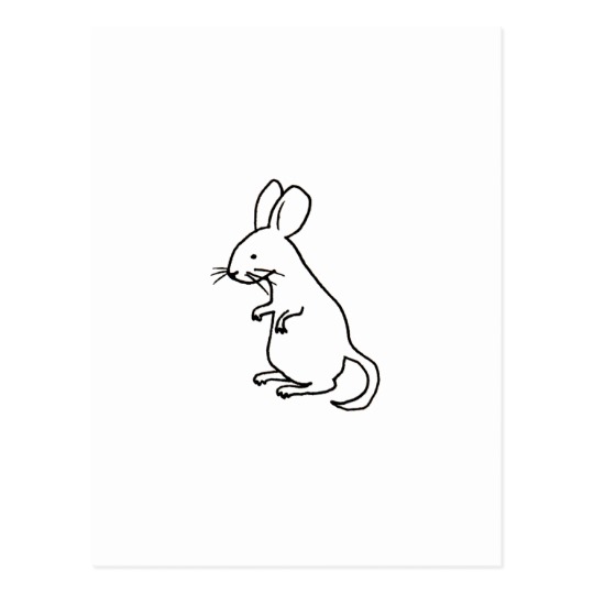 540x540 Rodent Rat Mouse Ink Line Drawing Art Design Logo Postcard - Rat Line Drawing