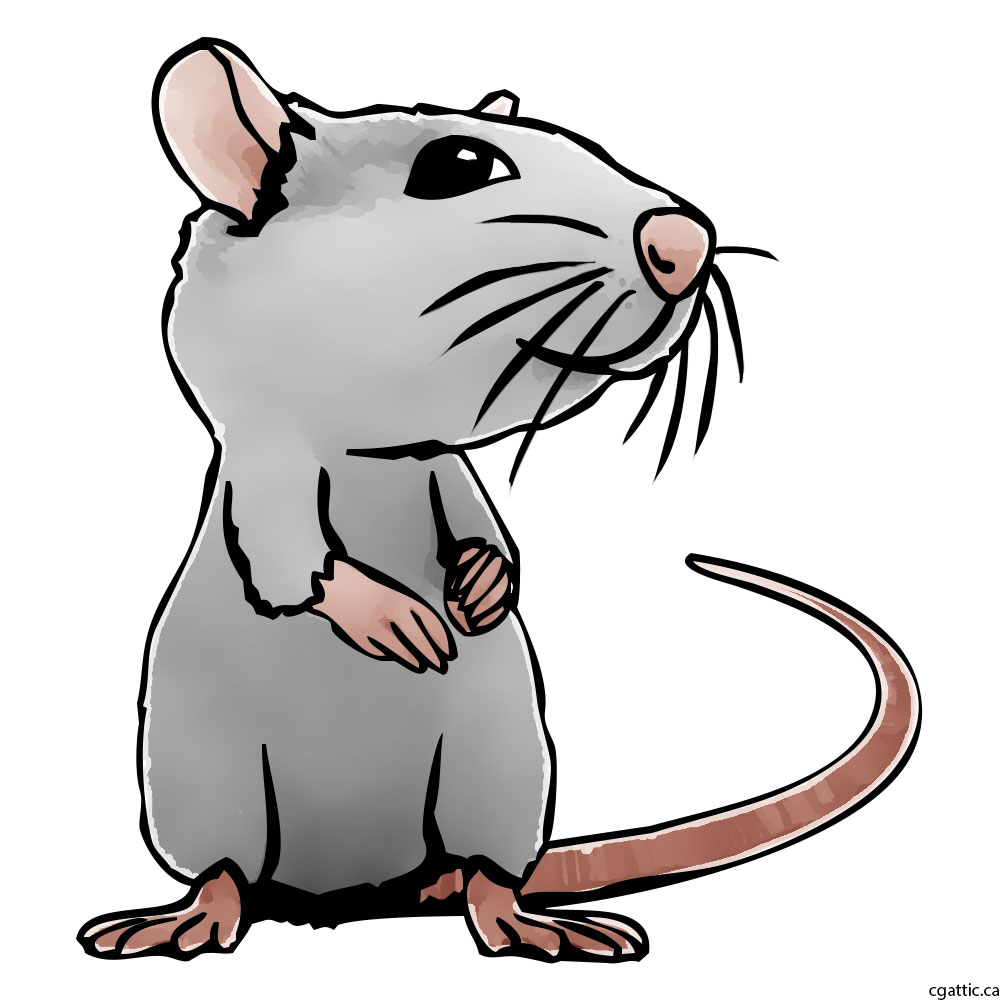 Фото крысы мультяшной