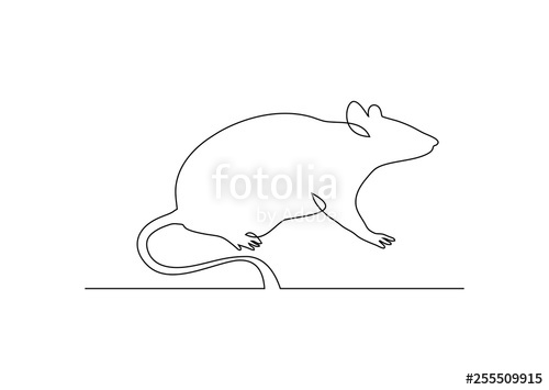 500x355 Continuous Line Drawing Of Rat Vector Stock Image And Royalty - Rat Line Drawing