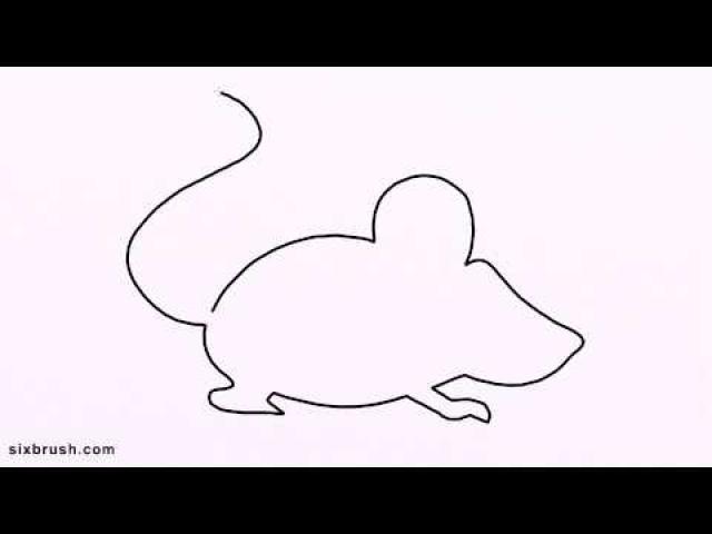 640x480 Drawn Rat Line Art - Rat Line Drawing