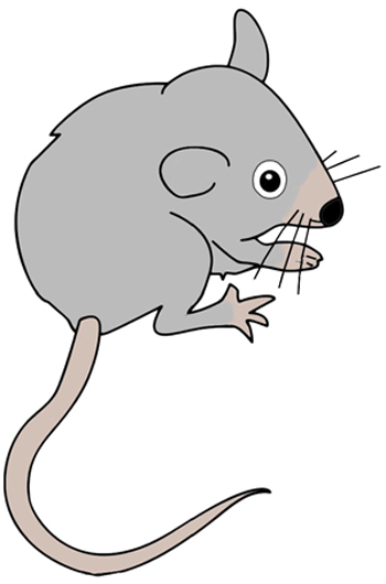 Rat Outline Drawing at PaintingValley.com | Explore collection of Rat ...