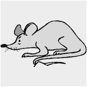 300x300 rat clipart black and white cute rat drawing outline scarf clipart - Rat Outline Drawing