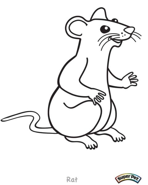 480x600 Rat Outline Drawing At Getdrawings Com Best Coloring Collection - Rat Outline Drawing