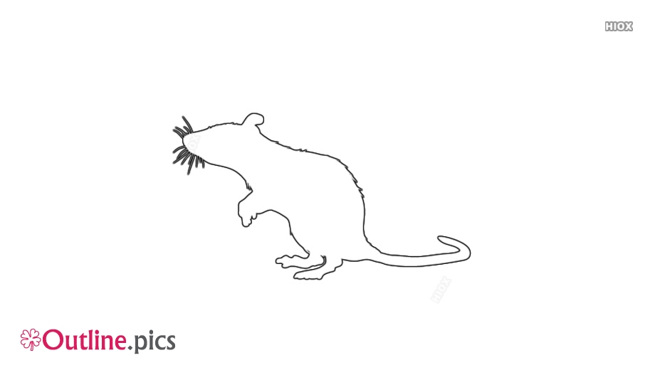 934x534 Rat Outline Images, Pictures - Rat Outline Drawing