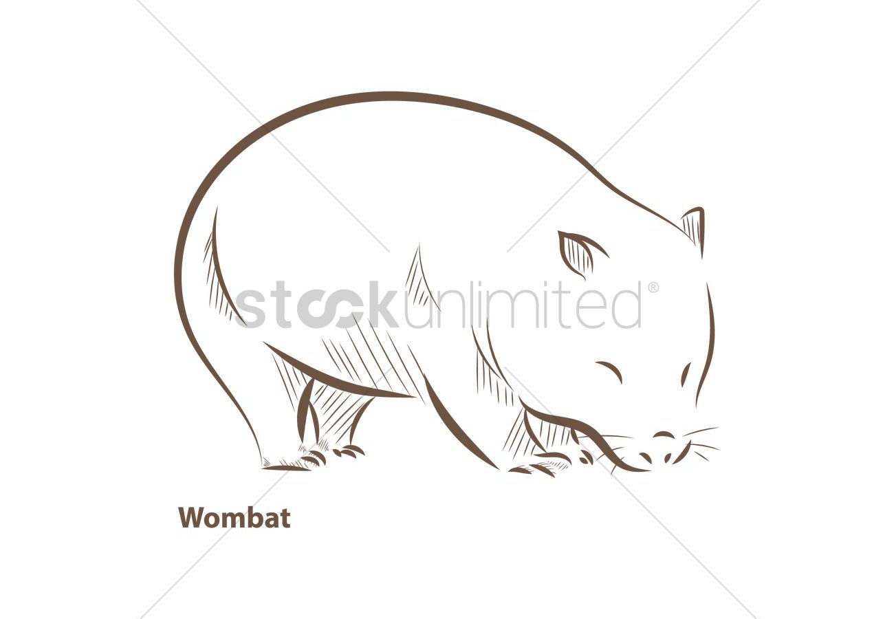1300x900 Wombat Outline Picture Drawing Cartoon Images Huge Freebie - Rat Outline Drawing