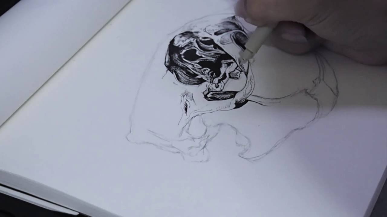 1280x720 Ink Mutated Rat Skull Speed Drawing - Rat Skull Drawing
