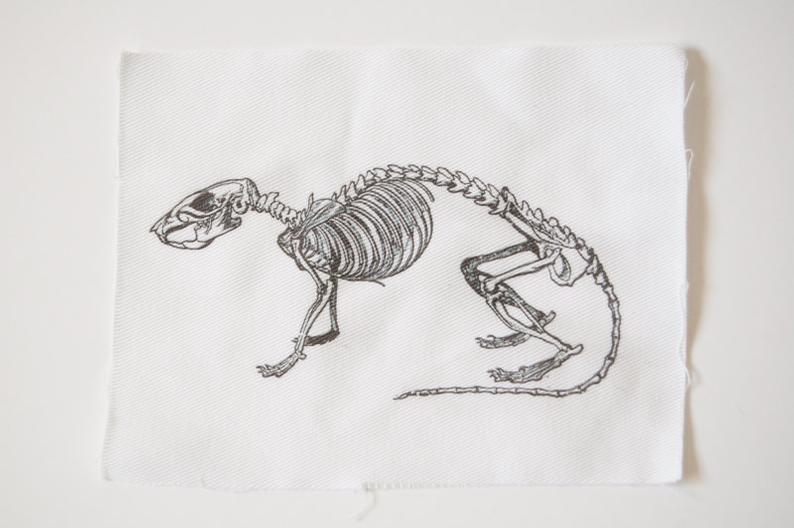 794x528 rat skeleton sew on patch rodent bones rat skull etsy - Rat Skull Drawing