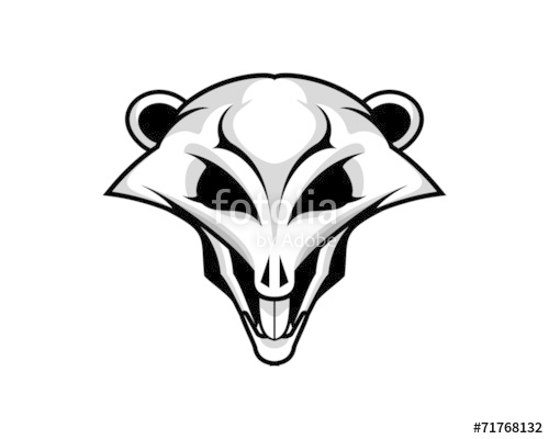 500x400 Rat Skull Stock Image And Royalty Free Vector On Fotolia - Rat Skull Drawing