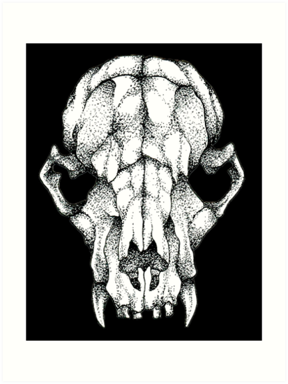 413x549 Rat Skull Drawing - Rat Skull Drawing