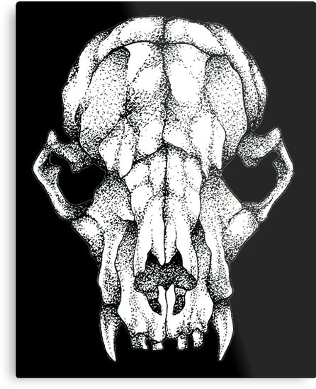 446x550 Rat Skull Drawing - Rat Skull Drawing