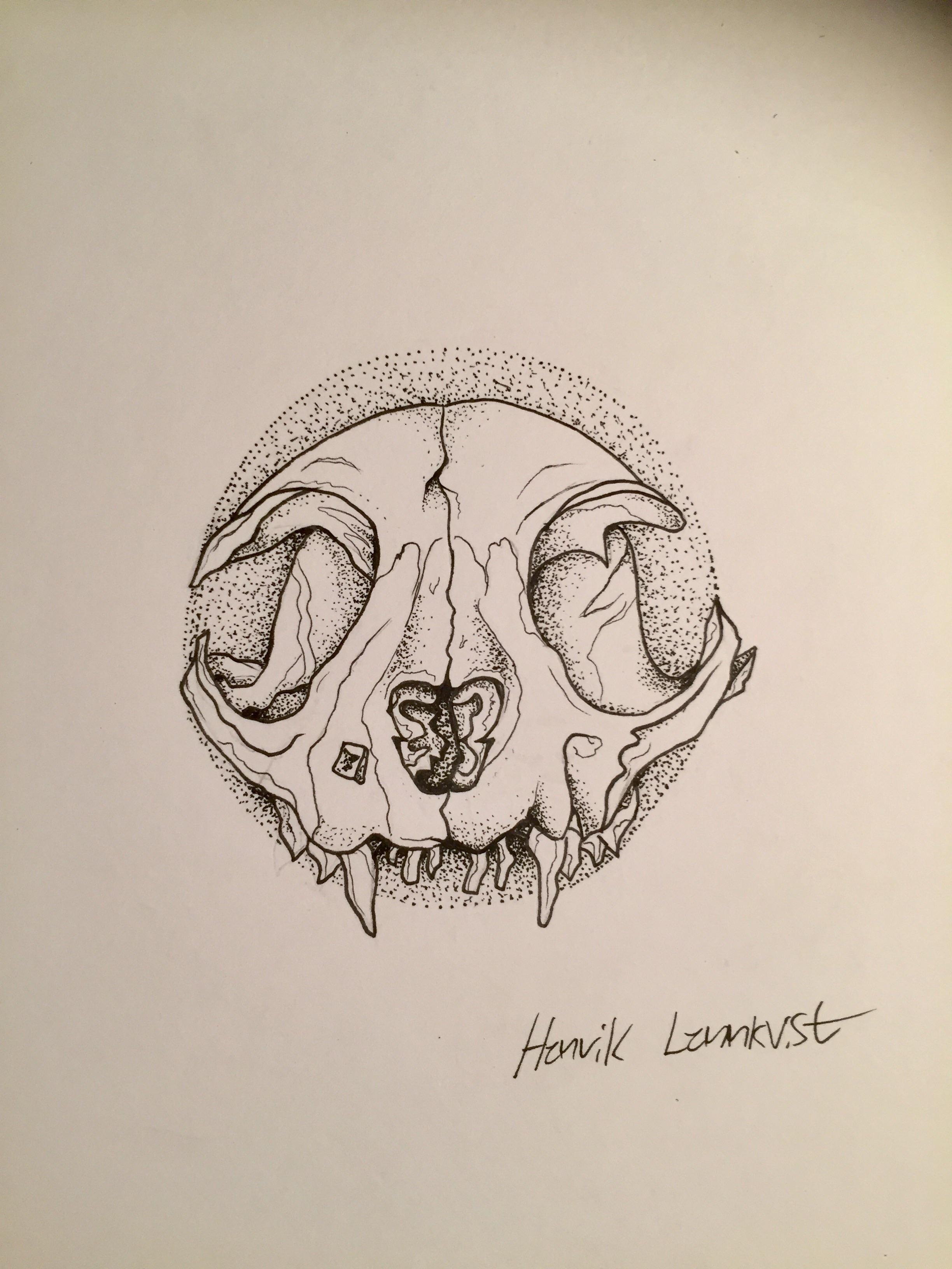 Rat Skull Drawing at Explore collection of Rat