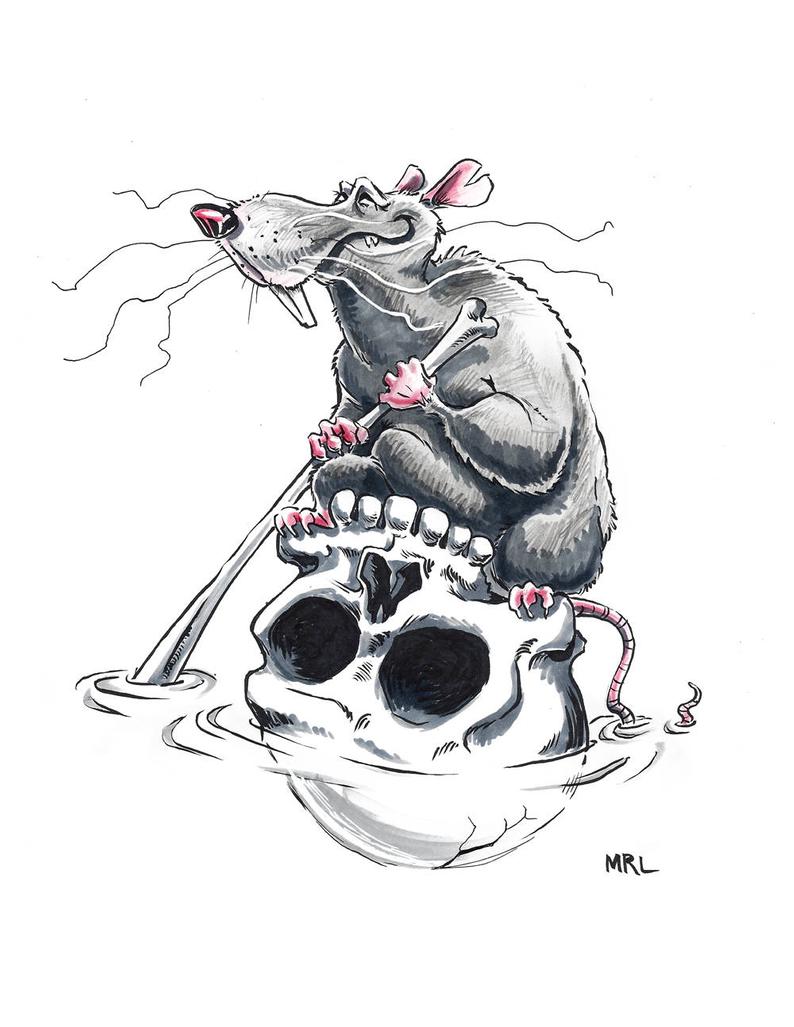 Rat Skull Drawing at Explore collection of Rat