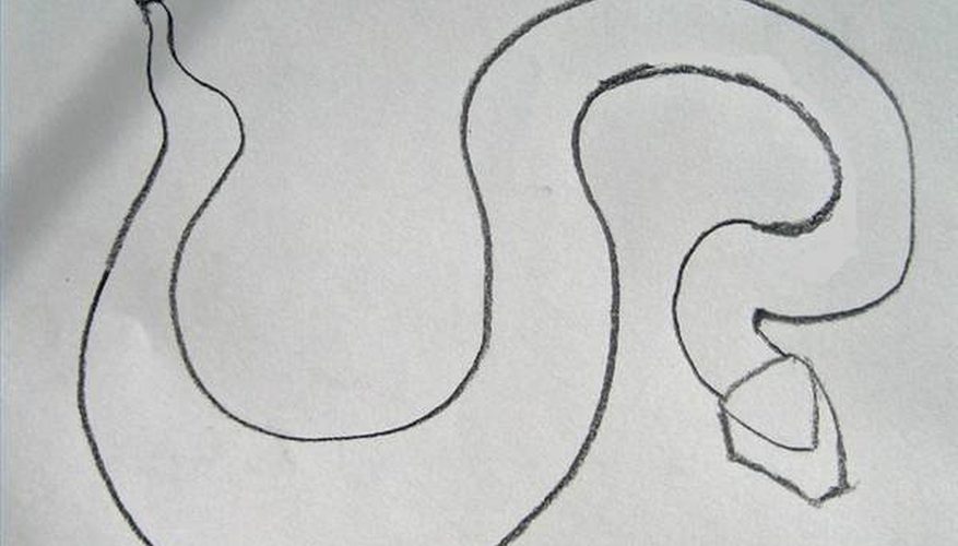 877x500 how to draw a diamondback rattlesnake our pastimes - Rattlesnake Drawing