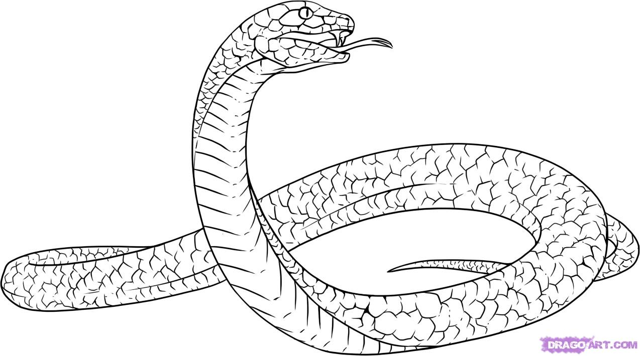 1274x710 Easy Cartoon Snake Drawing Abstract A Head Dragon From Above Clip - Rattlesnake Head Drawing