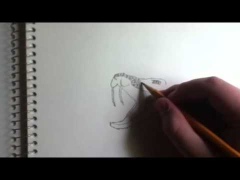 480x360 How To Draw A Realistic Rattlesnake Head - Rattlesnake Head Drawing