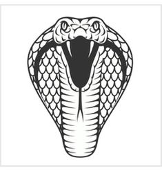 235x247 Snake Head Front View Drawing Google Image Art Snake Drawing - Rattlesnake Head Drawing