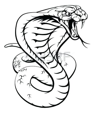 378x450 viper snake head image result for viper snake head drawing viper - Rattlesnake Head Drawing