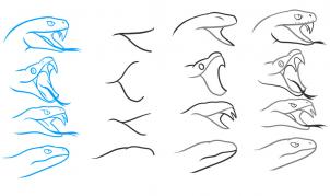 302x179 Drawing Printout How To Draw A Snake Head, Draw Snake Heads - Rattlesnake Head Drawing