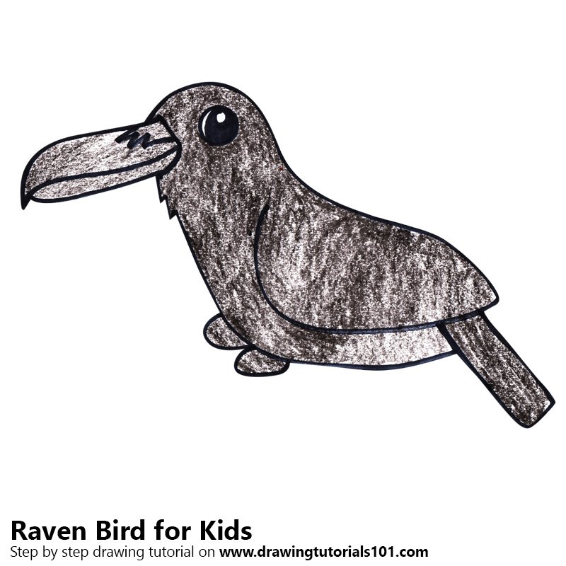 800x800 Learn How To Draw A Raven Bird For Kids - Raven Bird Drawing