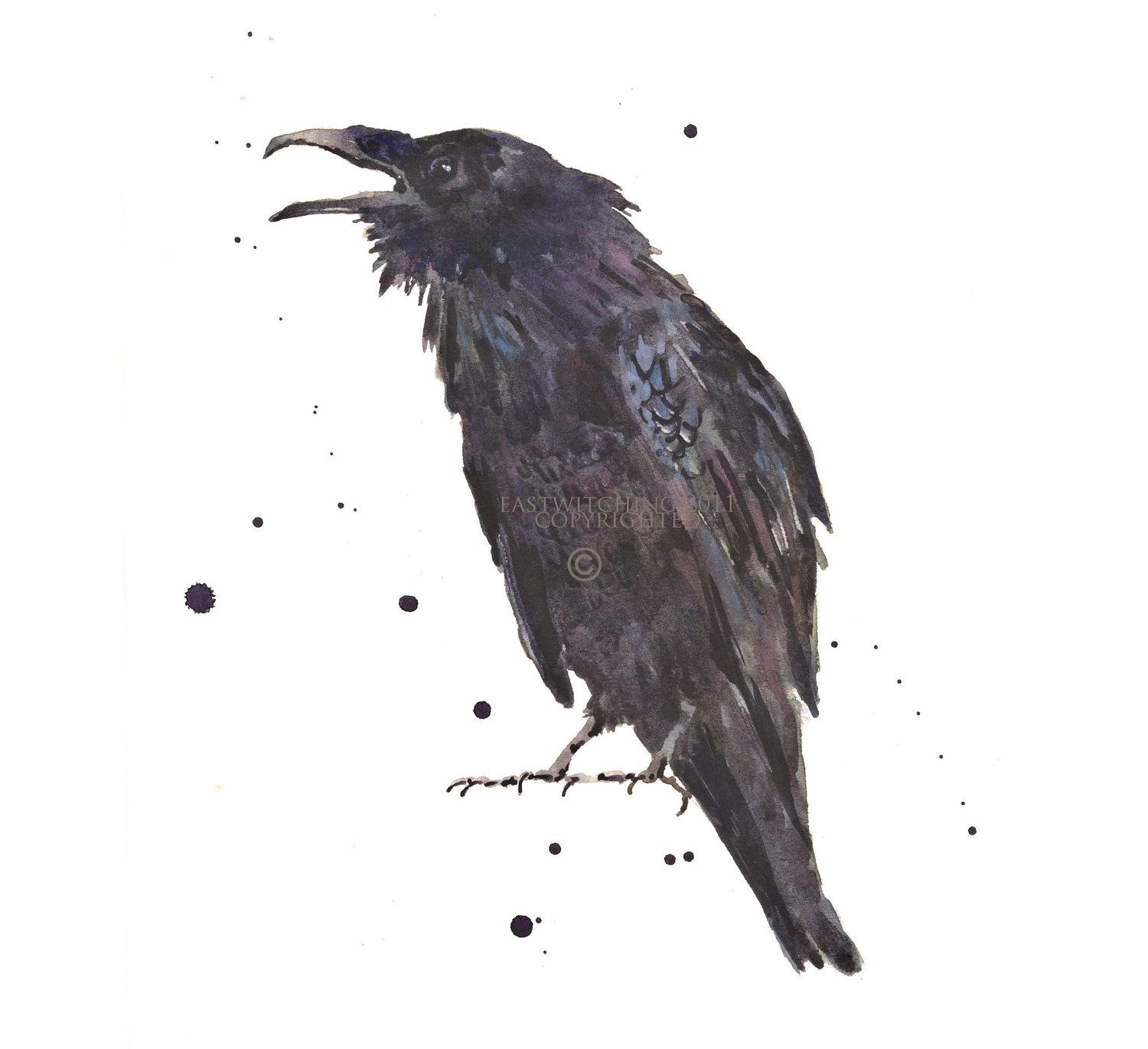 Raven Bird Drawing at PaintingValley.com | Explore collection of Raven ...