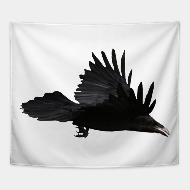 630x630 Raven Bird Flying Drawing - Raven Bird Drawing