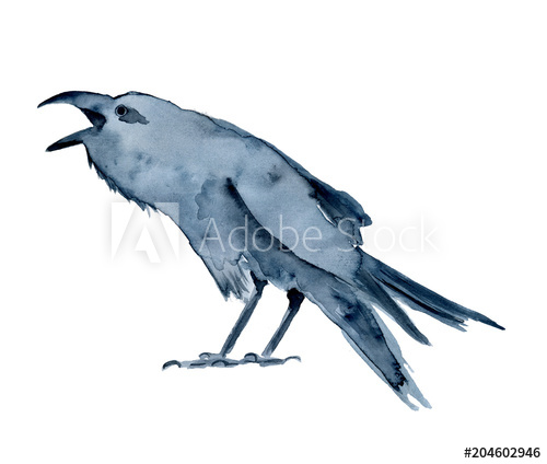 500x424 Watercolor Black Crow, Raven, Bird, Halloween Hand Drawn - Raven Bird Drawing