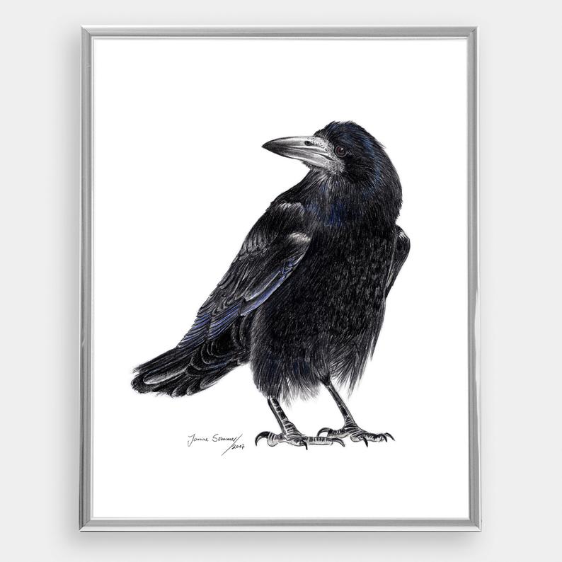 794x794 bird crow drawing illustration raven bird etsy - Raven Bird Drawing