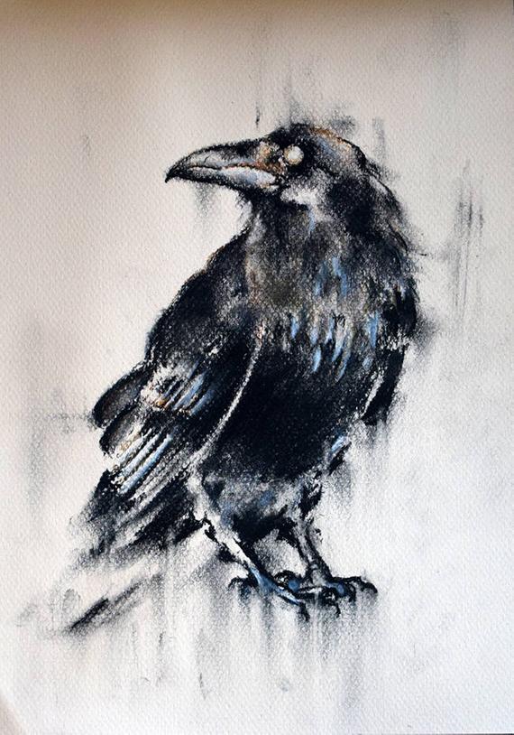 570x814 Crow Drawing Original Charcoal Black And White Raven Bird Etsy - Raven Bird Drawing
