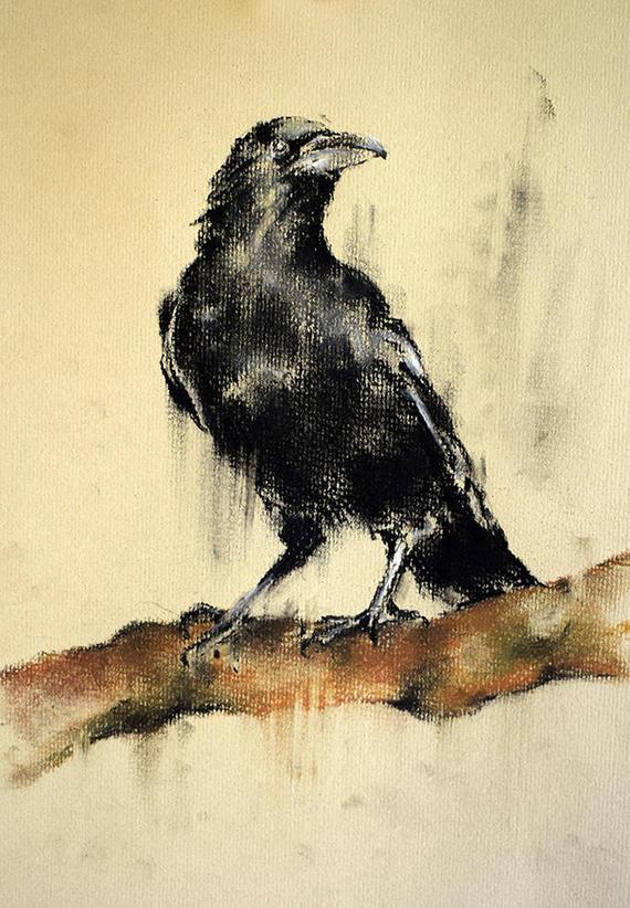 570x822 Original Crow Drawing Raven On A Branch Charcoal Drawing Etsy - Raven Drawing