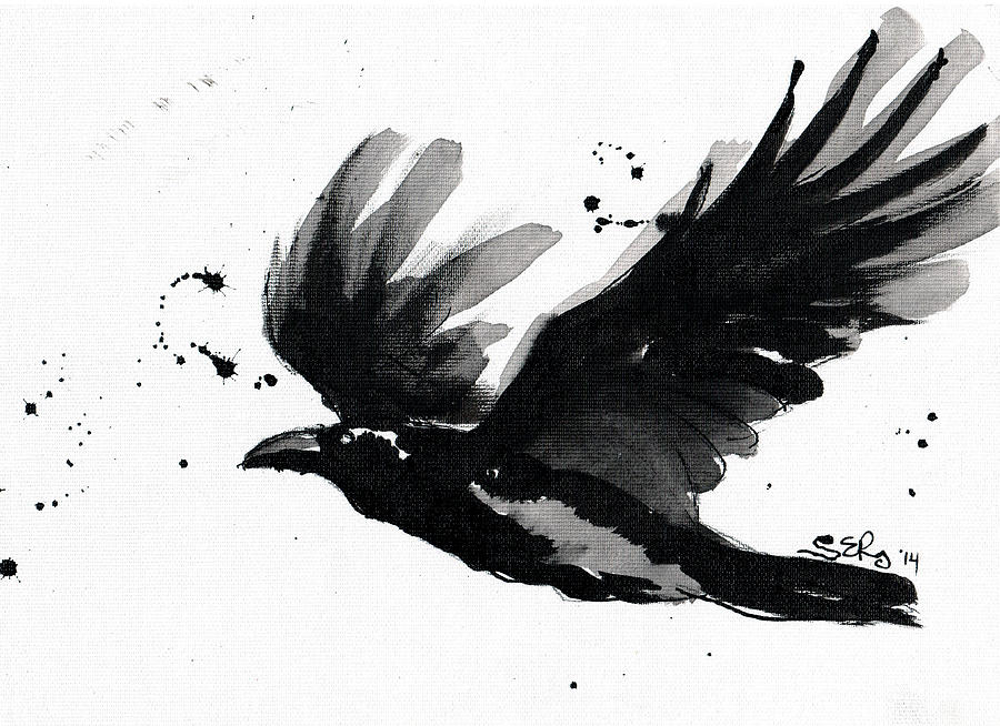 900x654 A Flying Raven Drawing - Raven Drawing