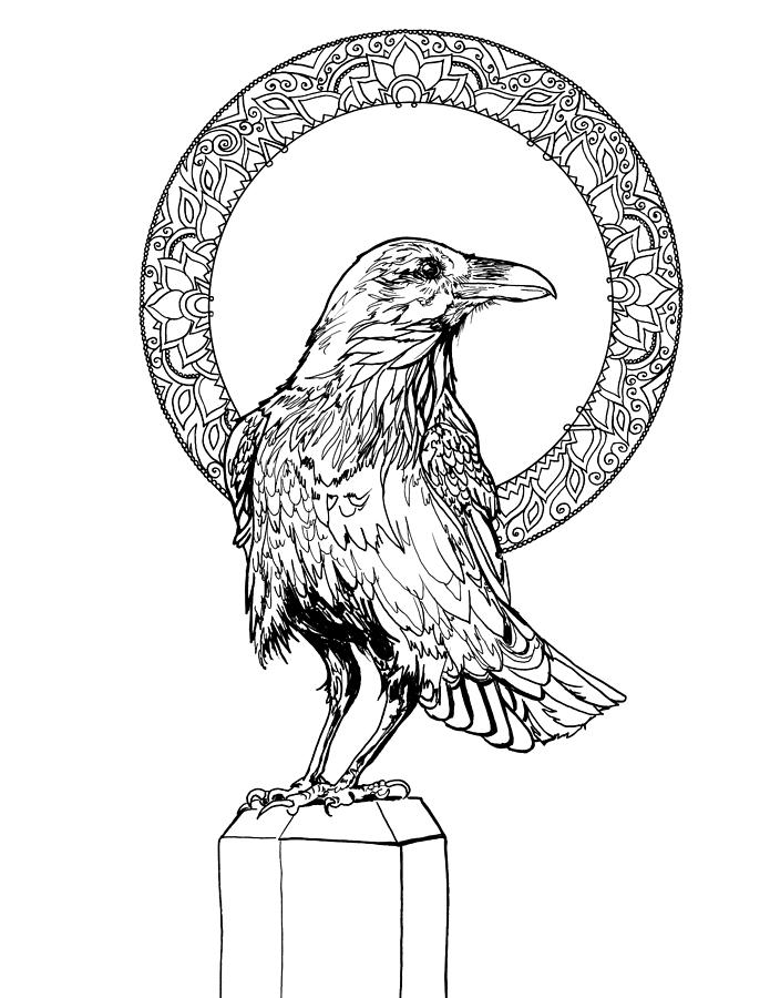 695x900 Raven Full Moon Halo Line Art Drawing - Raven Drawing