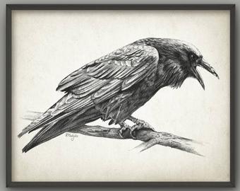 Raven Drawing at PaintingValley.com | Explore collection of Raven Drawing