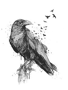 Raven Drawing at PaintingValley.com | Explore collection of Raven Drawing