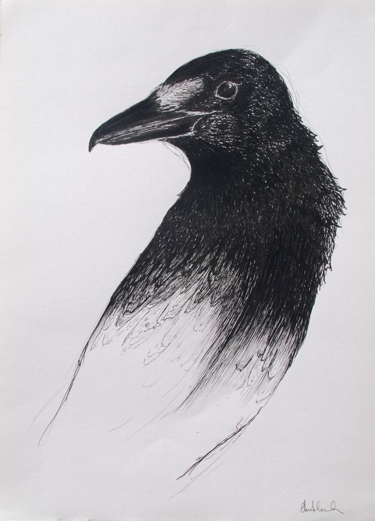 770x1068 Crow Raven Drawing - Raven Drawing