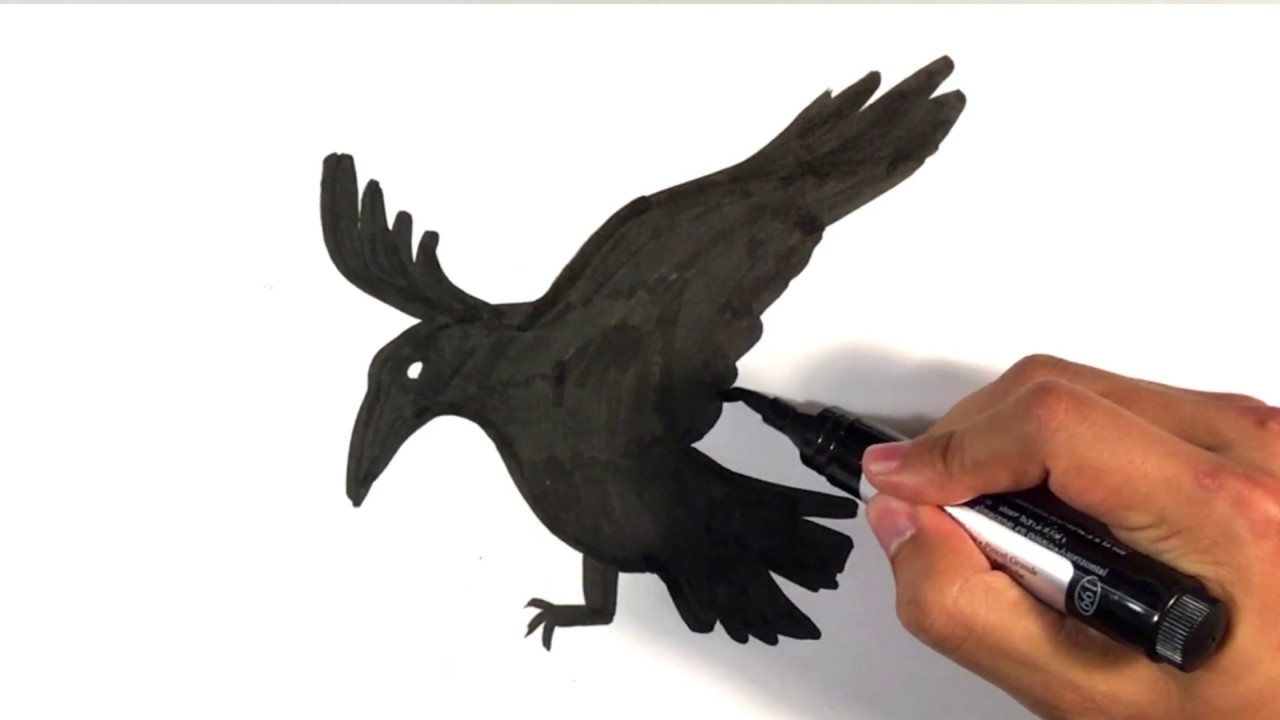 1280x720 How To Draw A Raven - Raven Drawings