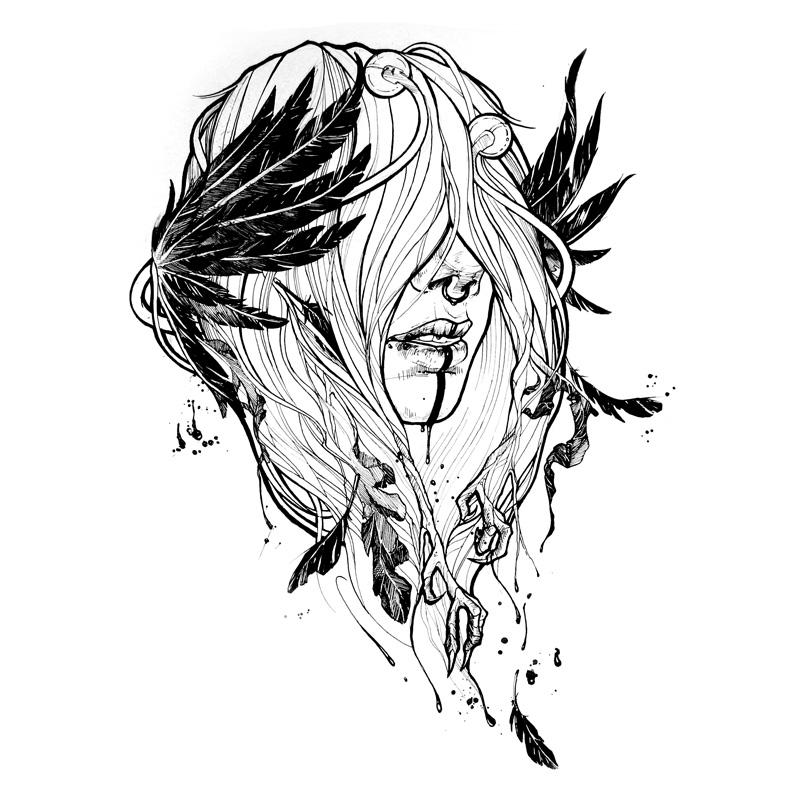 800x800 Raven Drawing Rose For Free Download - Raven Drawings