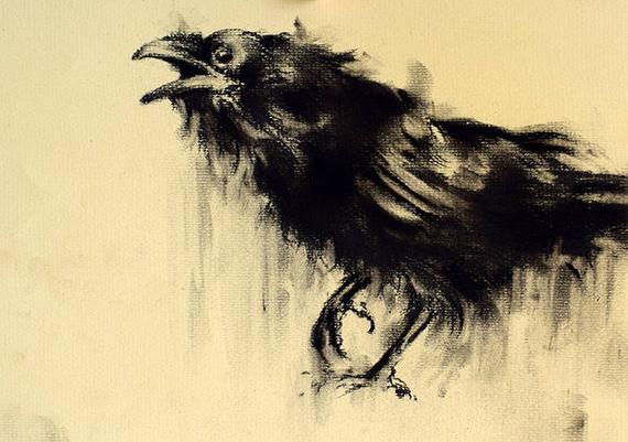 570x401 Original Charcoal Drawing Black And White Crow Raven Art Etsy - Raven Drawings