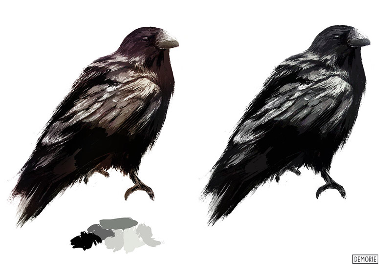 800x566 Raven Drawing - Raven Drawings