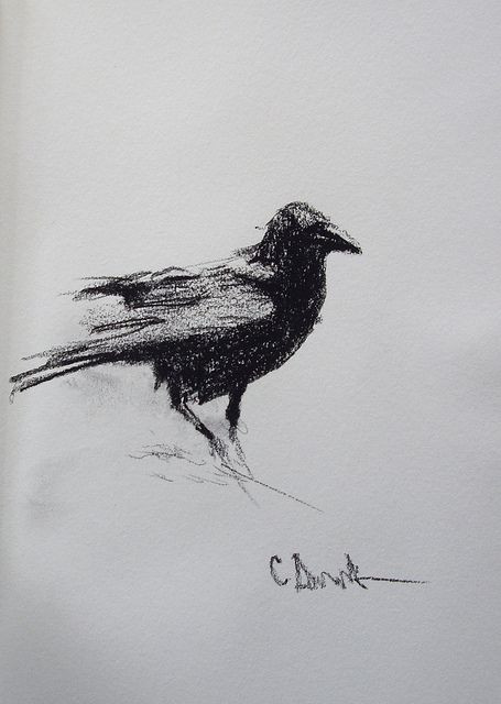 455x640 Fresh Raven Drawings Sketches Image Drawing Sketch - Raven Drawings