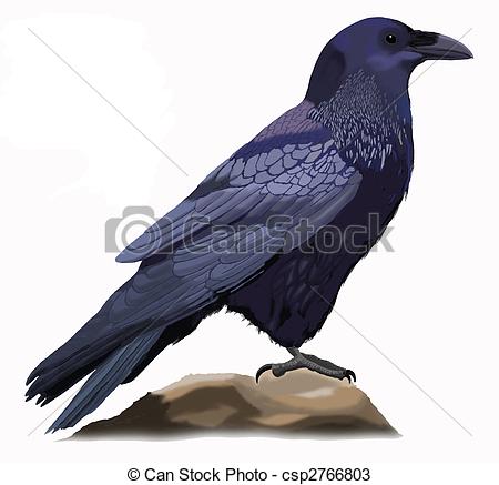 450x437 common raven - Raven Drawings