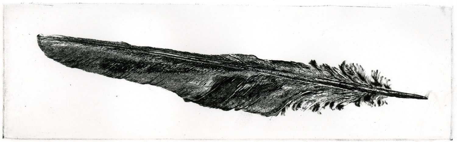 1500x469 feather raven feather raven artwork raven crow etsy - Raven Feather Drawing