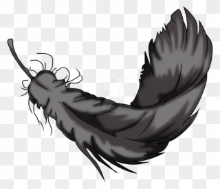 320x274 How To Draw Feather - Raven Feather Drawing