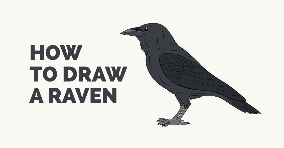 1200x628 How To Draw A Raven Step - Raven Feather Drawing