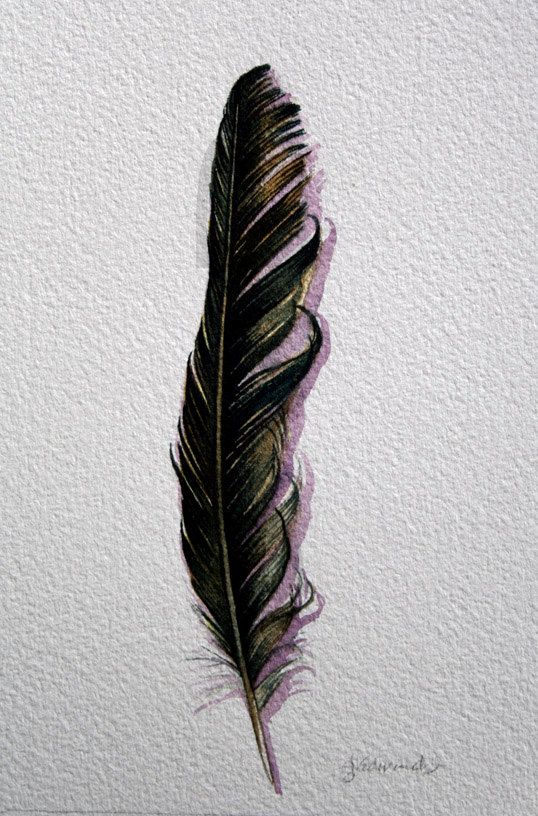 Raven Feather Drawing at Explore collection of