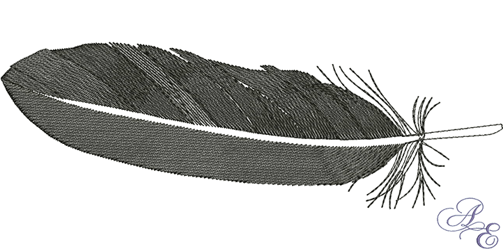 722x361 Raven Feather Xlarge - Raven Feather Drawing