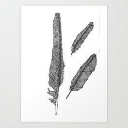 264x264 White Raven Art Prints - Raven Feather Drawing