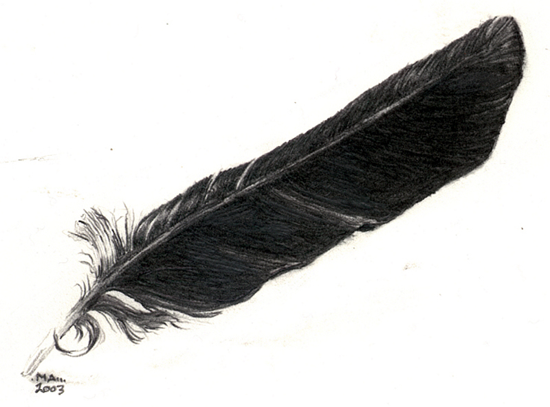 Raven Feather Drawing at PaintingValley.com | Explore collection of ...